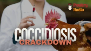 Coccidiosis Crackdown: Strategies to Keep Your Poultry Strong and Healthy